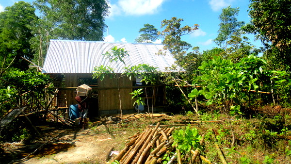 Lolo's nipa hut in the Philippines