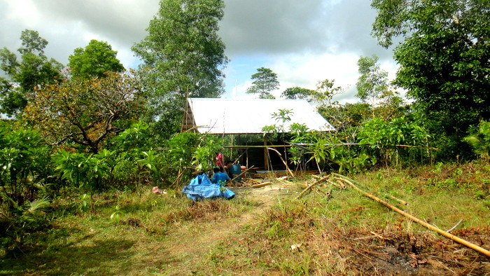 the new nipa hut is going up