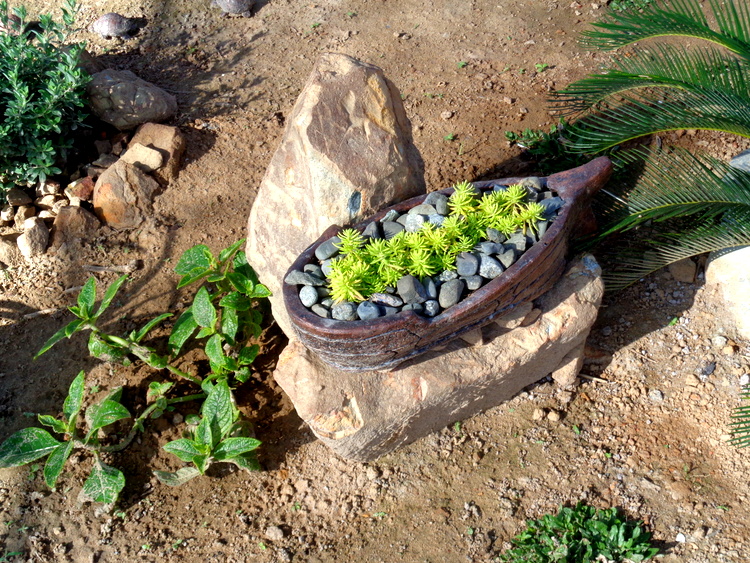 a new pottery piece in our Guimaras garden