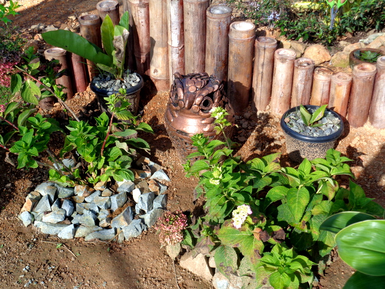 an owl flies into our garden in the Philippines