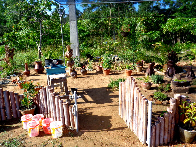 another look at our new garden in the philippines