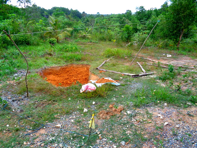 day one, our pool project in the philippines