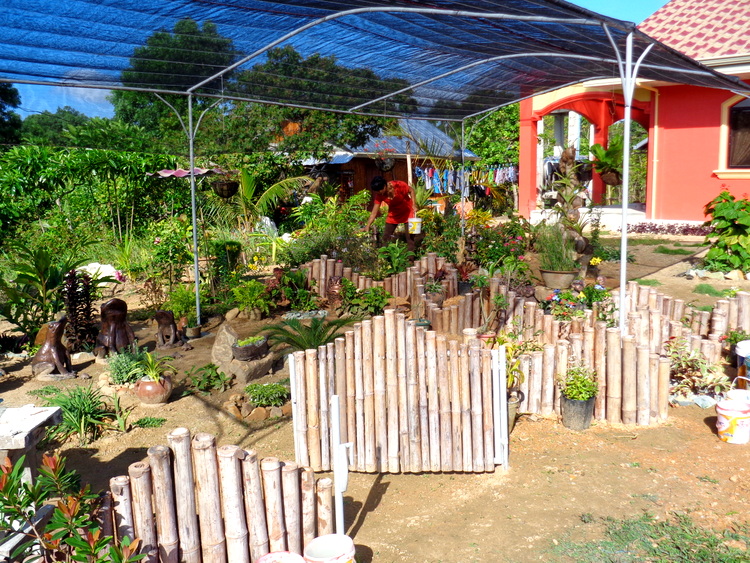 longshot of our new garden in the Philippines