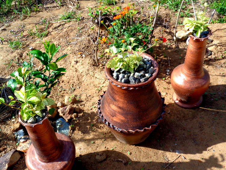 new vases from RGL Pottery in Guimaras