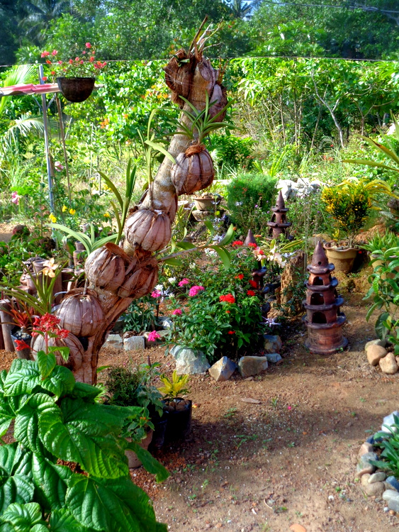 orchids in coconut husks in the philippines