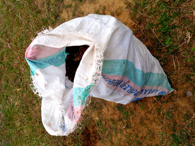 sack of cow poop from guimaras philippines