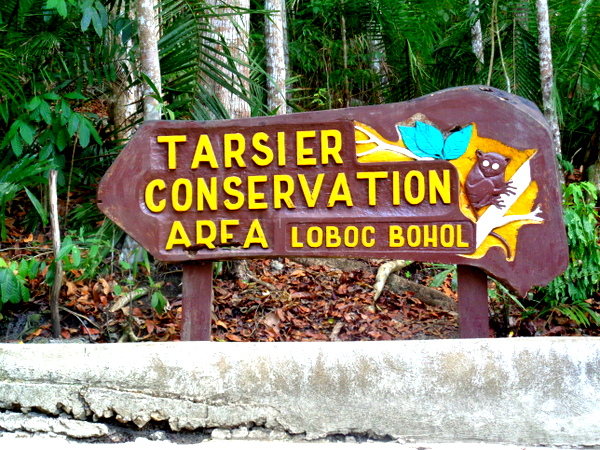 Tarsier Sanctuary entrance in Bohol