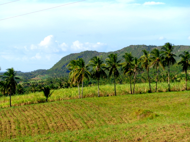 province outside of cebu, the simple life