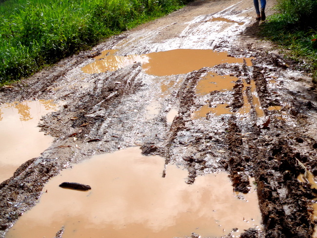 guimaras road